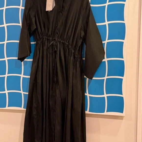 Christian Peau Silk Gathered Waist Dress in Kale. NWT - Picture 6 of 8